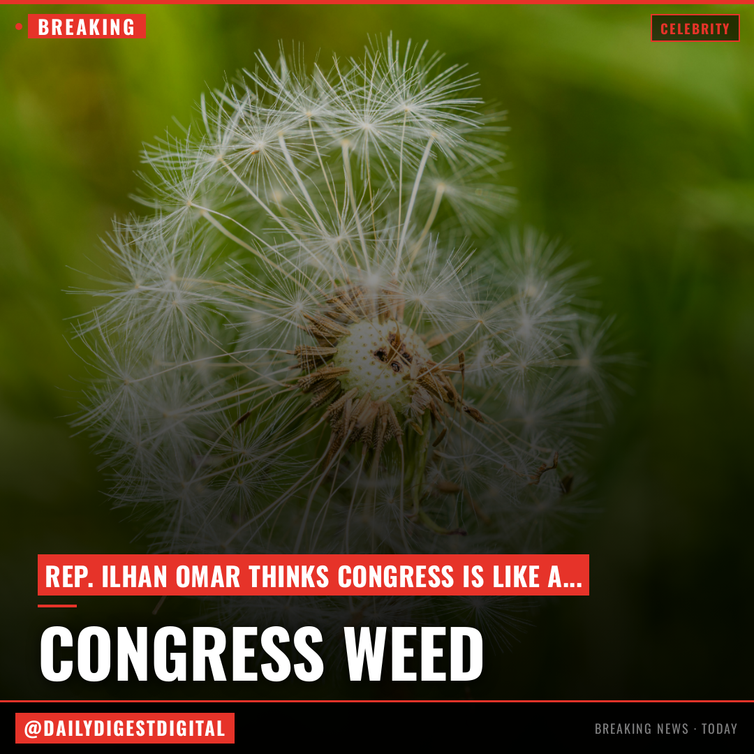 Rep. Ilhan Omar Thinks There's 'a Lot of' Weed Smokers in Congress