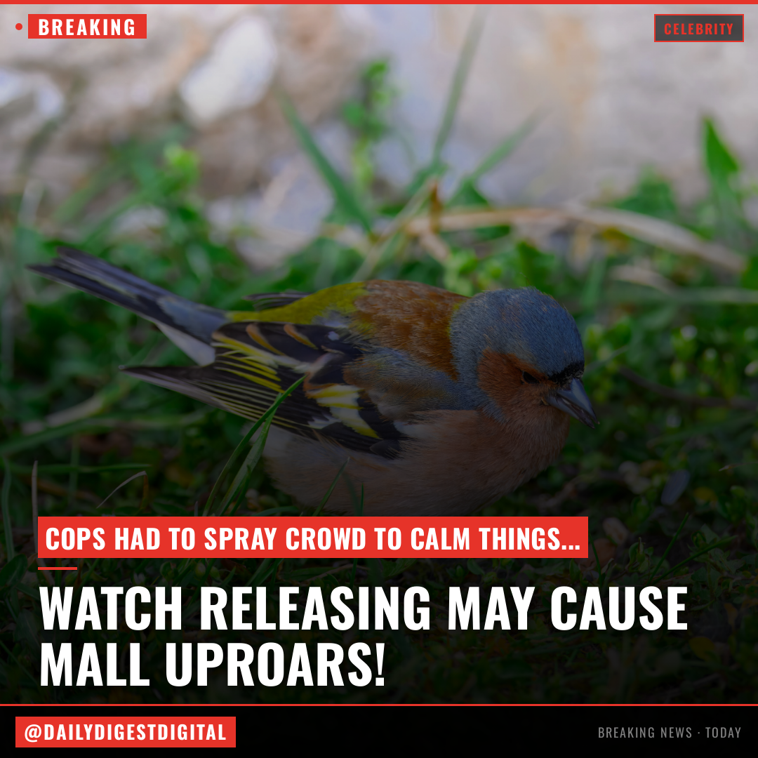 New York Cops Pepper Spray Packed Mall Crowd Over Watch Release
