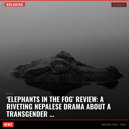 ‘Elephants in the Fog’ Review: A Riveting Nepalese Drama About a Transgender Community Like the 