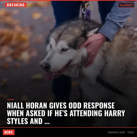 Niall Horan gives odd response when asked if he’s attending Harry Styles and Zoë Kravitz’s wedding