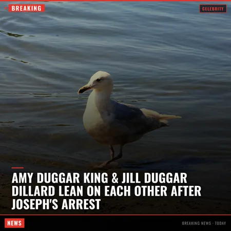 Amy Duggar King & Jill Duggar Dillard Lean on Each Other After Joseph's Arrest