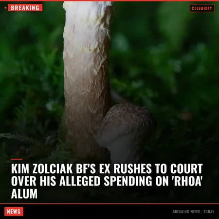 Kim Zolciak BF's Ex Rushes to Court Over His Alleged Spending on 'RHOA' Alum