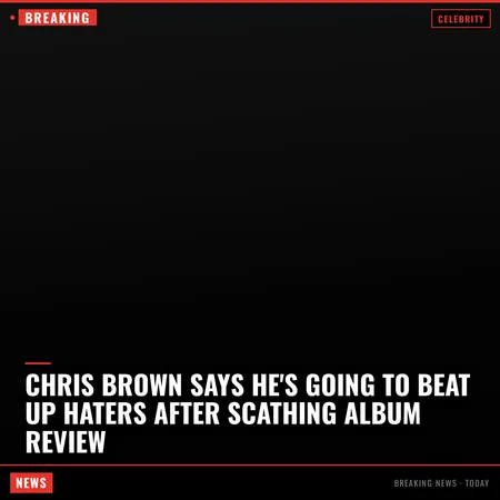 Chris Brown Says He's Going to Beat Up Haters After Scathing Album Review