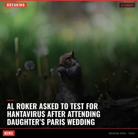 Al Roker asked to test for hantavirus after attending daughter’s Paris wedding