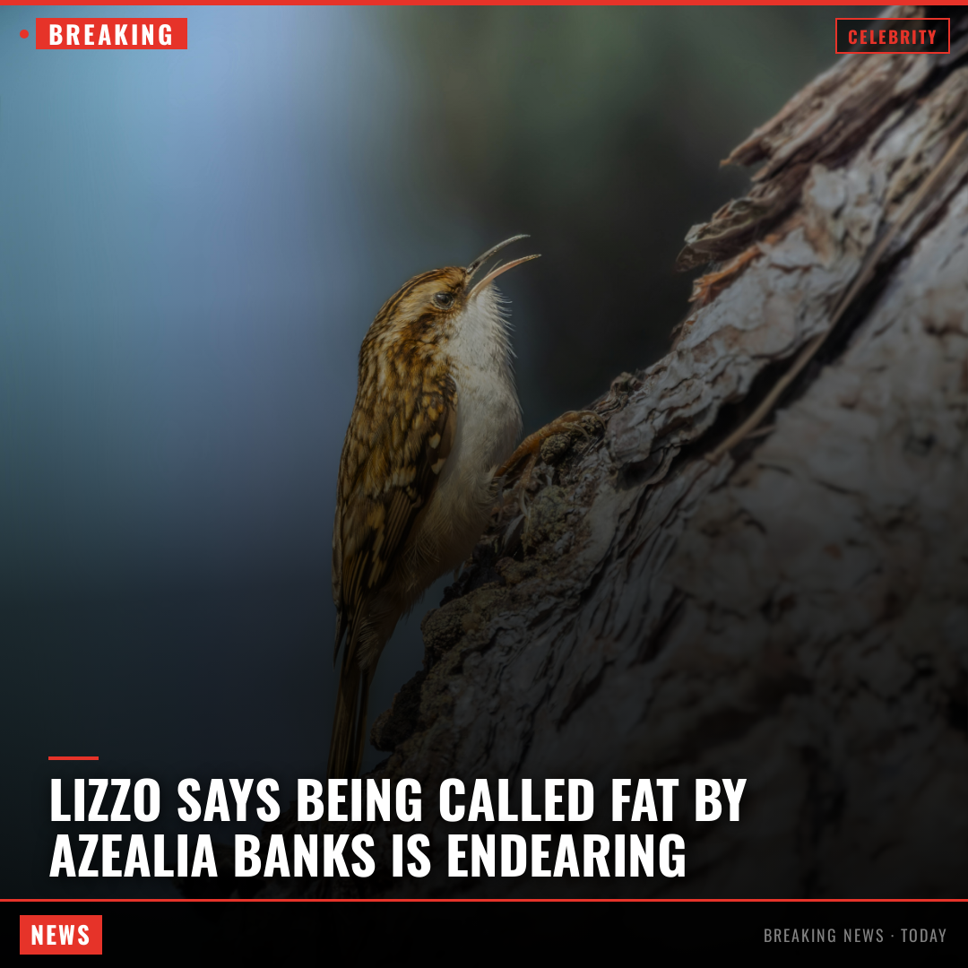 Lizzo Says Being Called Fat by Azealia Banks Is Endearing