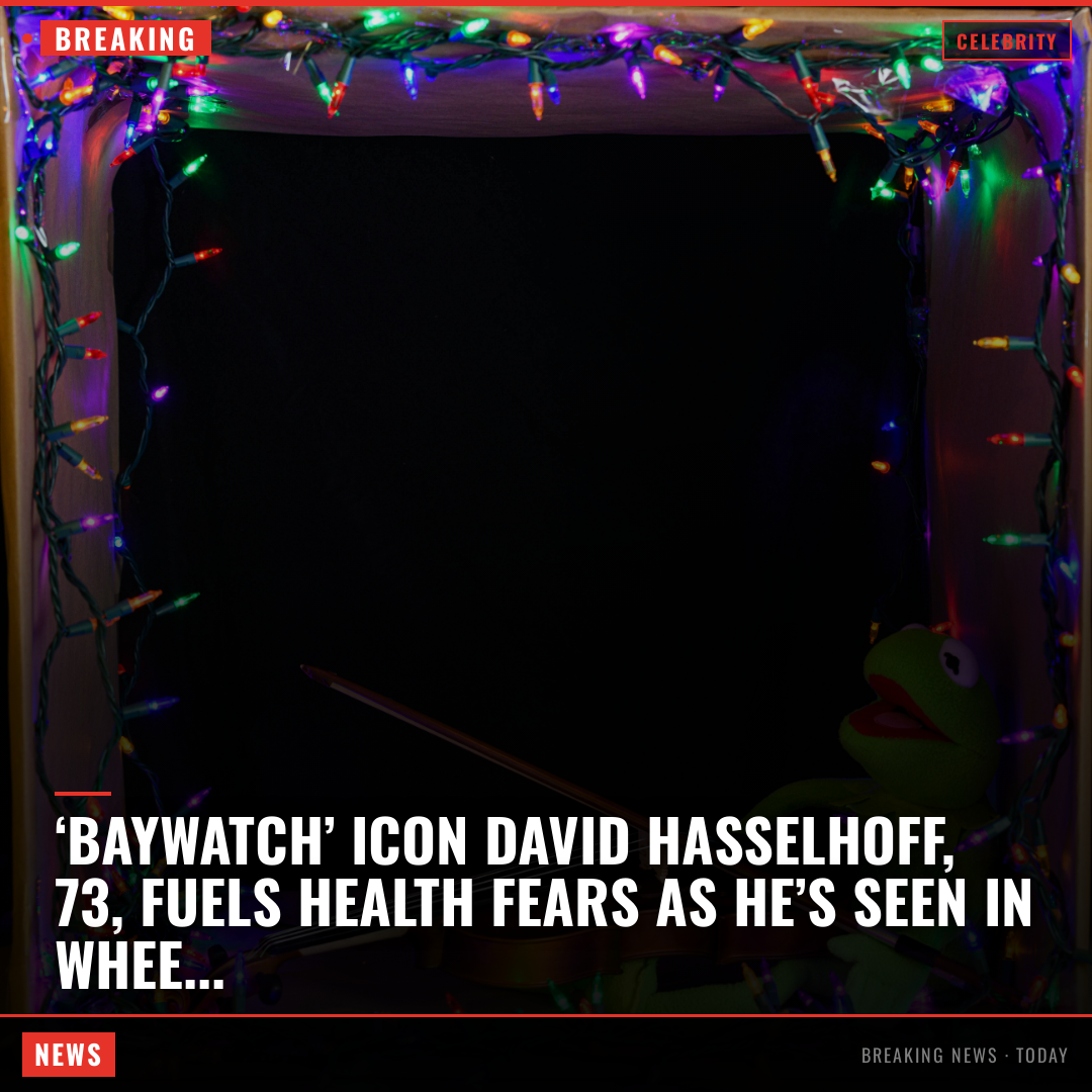 ‘Baywatch’ icon David Hasselhoff, 73, fuels health fears as he’s seen in wheelchair with bandaged 