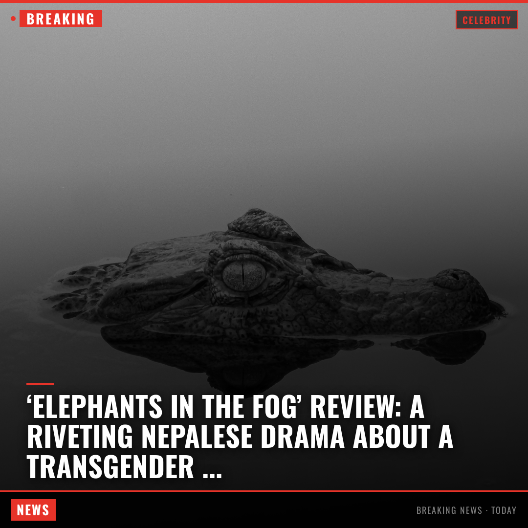 ‘Elephants in the Fog’ Review: A Riveting Nepalese Drama About a Transgender Community Like the 