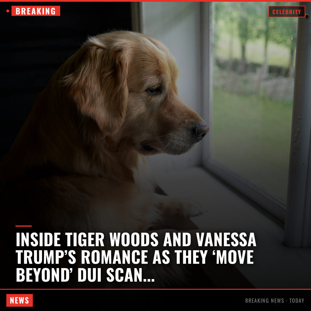 Inside Tiger Woods and Vanessa Trump’s romance as they ‘move beyond’ DUI scandal